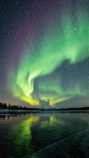 Aurora Borealis Over Frozen Lake 4K | Northern Lights #shorts
