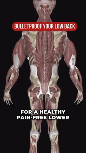 Dr. Hovanes Kirakosyan | DPT | Orthopedic Specialist on Instagram: "Struggling with low back pain but still trying to “strengthen” it? 🚨 Here’s the problem: loading extension too early often makes things worse. Paraspinal strengthening is essential, but it has to be earned, not forced. ➡️ Start with isometrics to rebuild tolerance ➡️ Progress to controlled unilateral work for anti-rotation ➡️ Add stable spinal loading ➡️ Finish with intentional movement, not momentum This is how you reintroduce