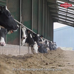 6.5K views · 68 reactions | No access to labour? Imagine having an extra member of staff in the cloud, looking over your cows fertility and health 24/7. | CowManager | Facebook