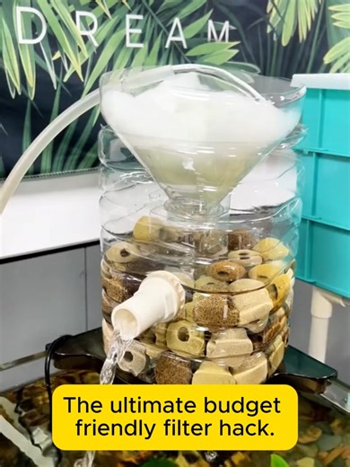 Genius or Crazy The DIY filter that actually works#aquarium #aqualayout #fishing #homemade #homedecorhack #fish #fyp