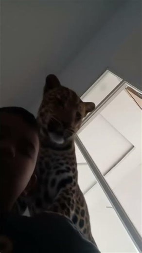 67574 52772 iuehr offline installer Windows phone store dan Google di