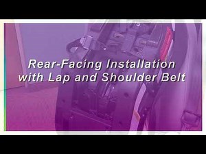 Quokka Car Seat Installation