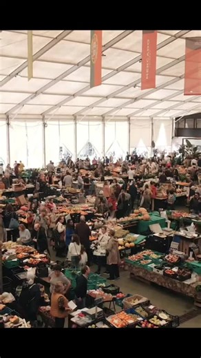 Experience a Surprise Flashmob Opera Performance