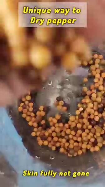 A Unique Way to Dry Pepper – Traditional & Natural Method!