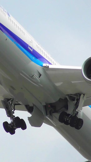 迫力のBoeing787-10車輪＆ランディングギア格納シーン！#飛行機 #飛行機好きな人へ #全日空 #ANA @地球人のチキン様、また使わせてもらいました！！