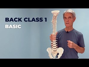 Back Class 1 - Basic
