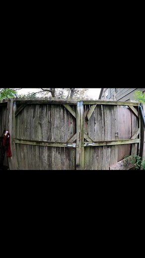 Snakes and spiders? How about both #funny #spider #snake #laugh #mobile #mechanic | Parker's Mobile Mechanics