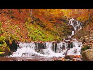 4k beautiful Waterfall in Autumn Forest. Waterfall Sounds, Flowing Water, White Noise for Sleeping.