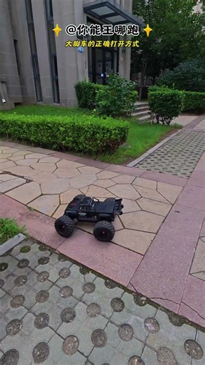 大脚車的正確打開管道The Correct Way to Ride a Big Bike #car #toys #lego