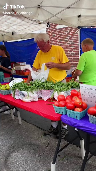 Bored in Chicago on TikTok