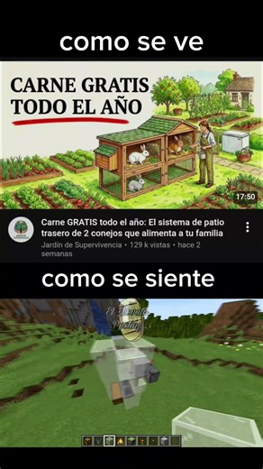 granja de conejos - meme