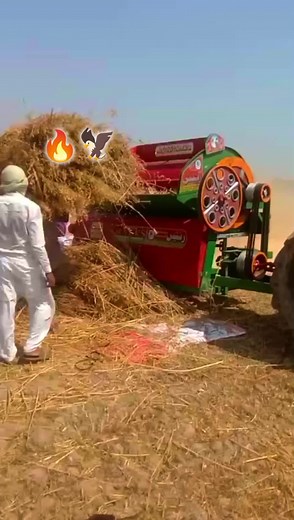 Efficient Hay Threshing with MARSGEY FORDGON Machine