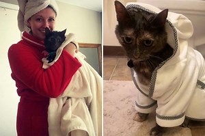 Woman showers with cat daily: 'He loves it'