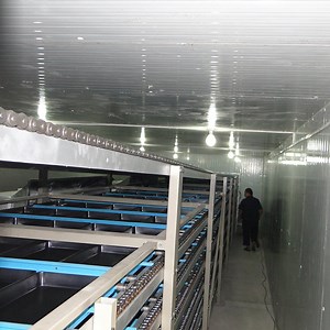 [Hot Item] Feed Stripping Automatic PLC Paraffin Plate Forming Machine Pressing Machine Wax Block Paraffin Machine