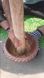 #punjabisong #punjabimusic #newsong #shortsvideo #nature