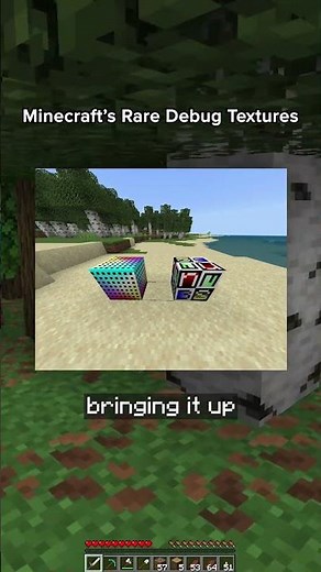 Rare Debugging Textures on Minecraft