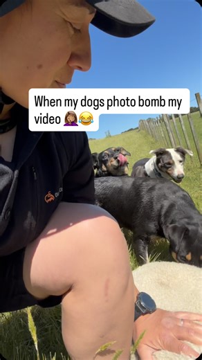 2.3K views · 250 reactions | Trying to do a video and then next...