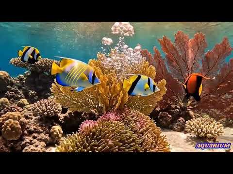 Relaxing Aquarium Bubbles No Music – 3 Hour Loop | Realistic Fish Tank Water Sounds