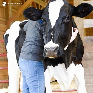 71K views · 4.8K reactions | Not all friendships look the same. For...