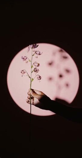 The craziest bug in computer science history 🤖