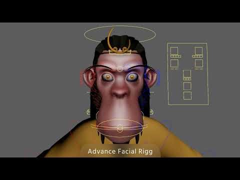 Rigging Reel - Gallo Marcos