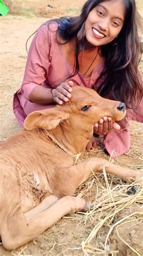 #AngelJyoti | BHOJPURI SONG | 😚😚 | #dance #trending #shortvideo