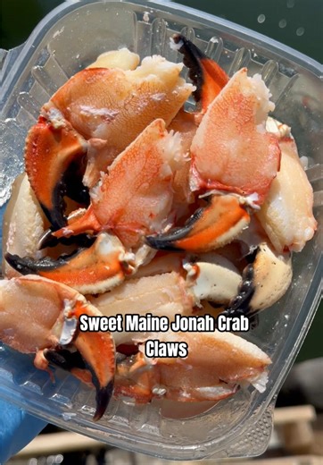 Delicious Sweet Maine Jonah Crab Claws Delivered