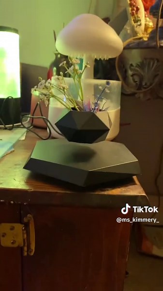 Amazing levitation magnetic pot holder! Mesmerizing and amazing 👀❤️. Check out this out of this world unique piece of art in your home today! #levitationmagneticpotholder