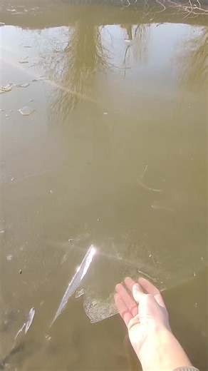 LIVE 🎣 . . . #pecanje #ribolov #dunav #fishing #dunavfishing