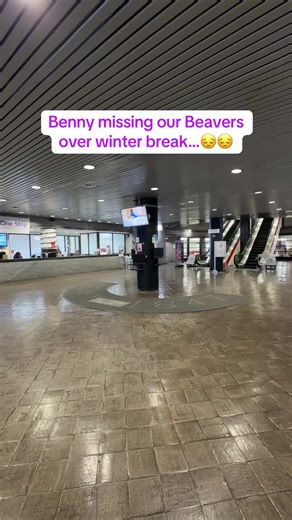 NAC Vibes at City College of New York