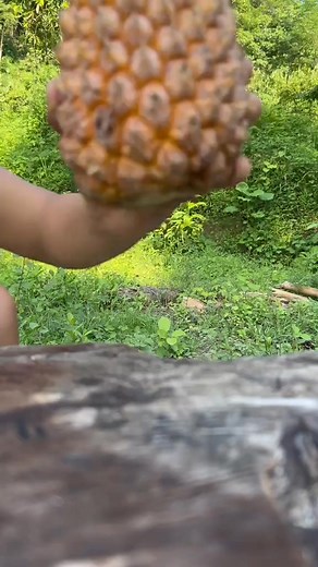 12K views · 49 reactions | How to eat pineapple really easy#maobuschcraft #girls #outdoors #survival #hacks #bushcraft #camping #FYP #tips | Kinoyves | Facebook