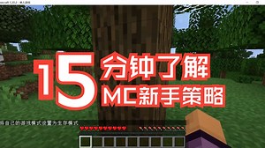 MC新手起步教程全过程