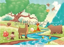 what is environment ?