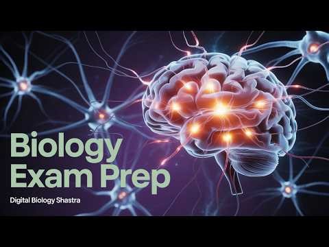 Human Physiology I Neural Control & Coordination I UP TGT I PGT I GIC I Concept Booster I Neuron I