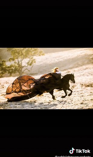 what do you get when you combine parachute dresses and horses?😍 #equinephotographer #horsephotography #horsesoftiktok #horses #californiaphotographer