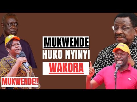 ODM Rift Explodes as Orengo & Sifuna Warn Oburu Odinga and Gladys Wanga Over UDA Moves