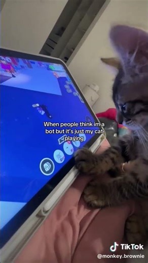 Idk :3 i was bored #subscribe #answer #funny #cute #adoptme #adorable #roblox #animals #pets #cat