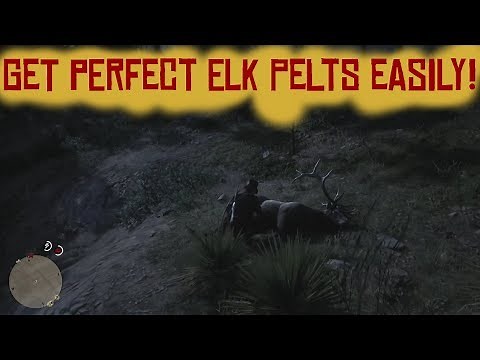 RDR 2 | Get perfect Elk Pelt easily! | Red Dead Redemption 2