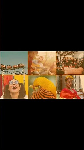 ¿QUÉ SIGNIFICADOS TIENE EL COLOR NARANJA? | Psicología del color