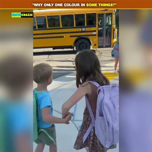 Why Only One Colour in Some Things?”