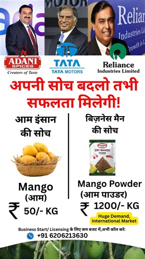 Mango Powder Business Idea 2026 | Low Investment High Profit Business 🍋📈
