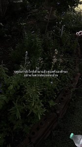 ดูแลตัวเองดีๆ ในฤดูฝน: คำเตือนจากใจ