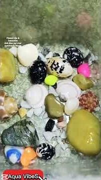 How to make Aquarium At Home for Free | #fishtank | Aqua VibeS #guppy #aquarium #free #aquariumlife