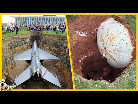 10 Cosas Más Extrañas Encontradas en Patios Traseros