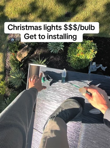 Installing Christmas lights for a living