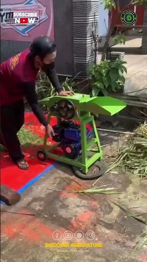 Mini Portable Chaffcutter Machine