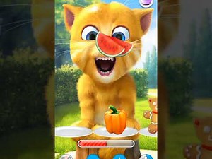 😂 Hilarious Reactions: Tickle & Poke Ginger! 🐾