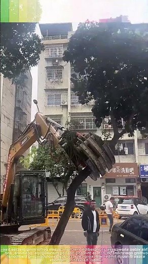 This Machine Is A Beast! 🤯 Robotic Tree Cutting Revolution