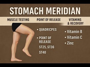 Unlock Digestive Power: Stomach Meridian Overview And Massage!