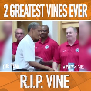 80K views · 802 reactions | Twitter announced that they are shutting down their popular Vine app today. A lot of laughs were shared on this app. It will be missed. Here are our two favorites. | The Peak | Facebook
